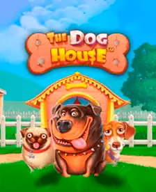 Dog House